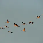公寓 Matrosenkoje