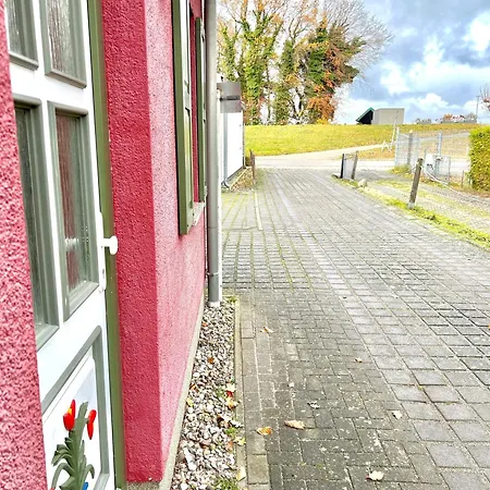 Matrosenkoje 公寓 青斯特